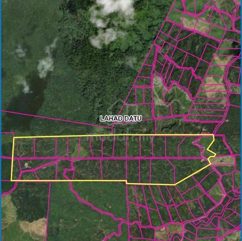 Lahad Datu, 659 acres, Oil Palm Plantation 1