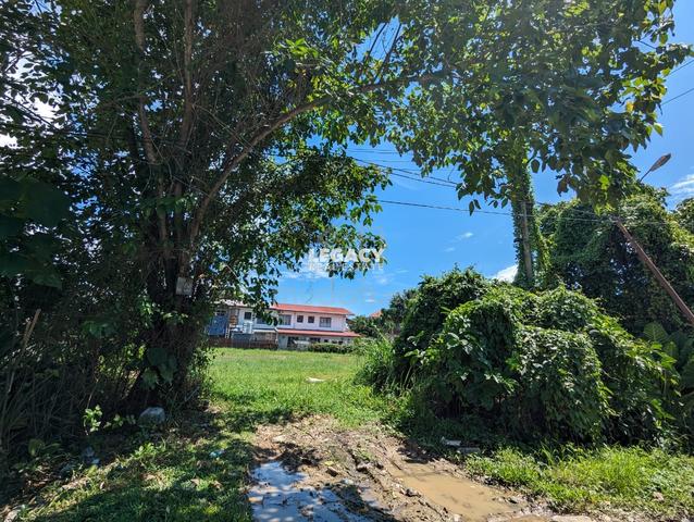 Tanjung Aru Land for Sale 1