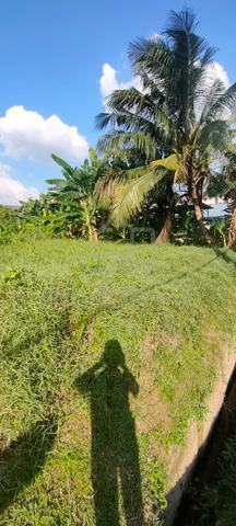 Lot Banglo @ Bandar Dato Onn - Taman Desa Mutiara 4