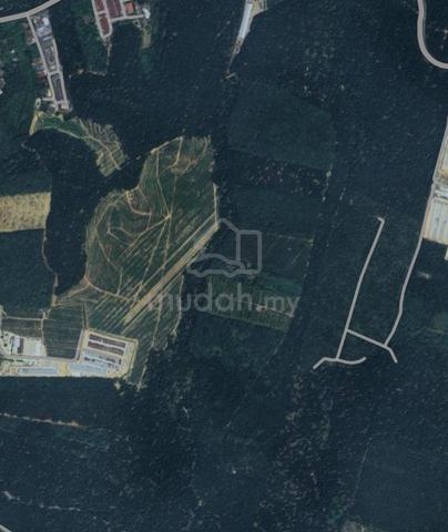Palm Oil Land 1