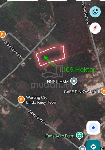 1.109 Hektar/ 2.74 Acres Lot for Sale Kg. Maju Jaya near Gunung Pulai 1