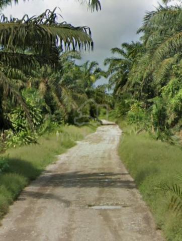 Johor,Pekan Nanas Jln Parit Selangor 1