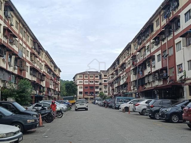 Seri Pulai 1