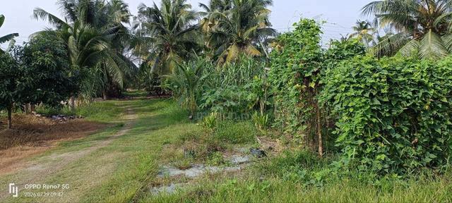 Tanah Tapak Rumah 70 X 90 Di Bukit Kerayong Kapar 1