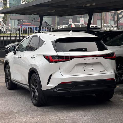 2023 Lexus NX250 2.5 Version Luxury Sunroof - 2