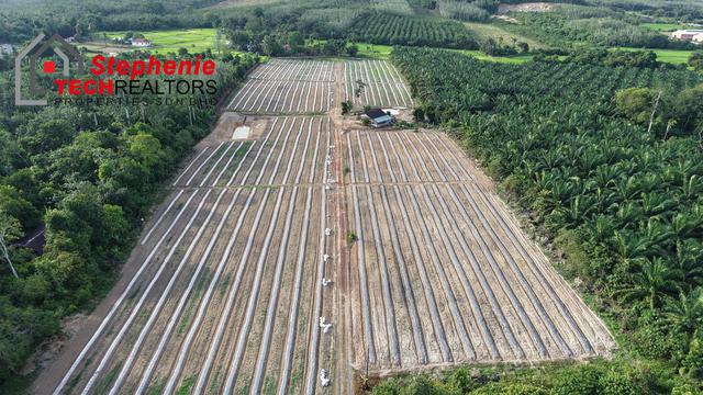 NAPOH JItRA FACING  MAINROAD ZONING INDUSTRI FLAT LAND 1