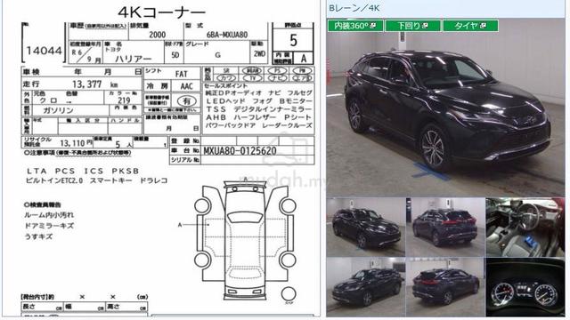 2024 Toyota HARRIER 2.0 G DIM BSM REAR CAM 13K KM - 3
