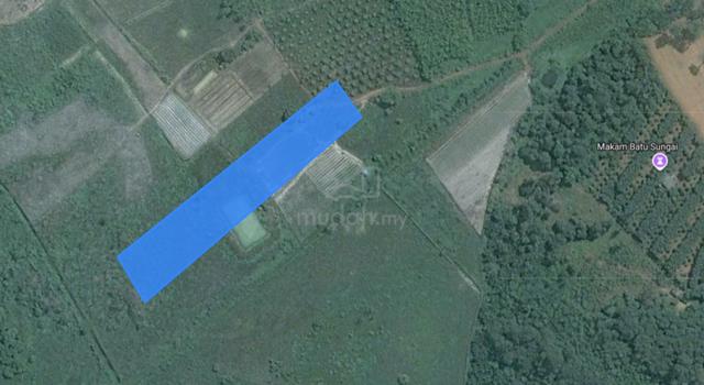 Tanah Pertanian Sawit Kampung Tangkong Buloh Kasap Segamat Johor 1