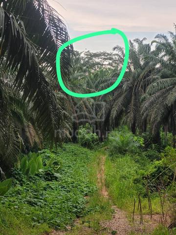 Tanah untuk dijual 1