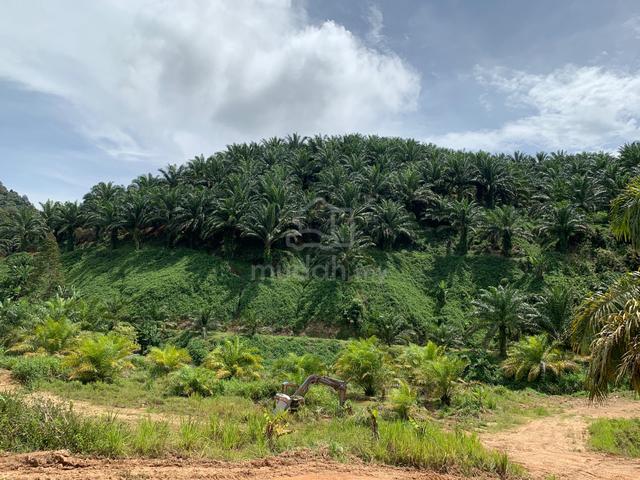 Sabah Tambunan Agricultural Leasehold Land For Sale 1