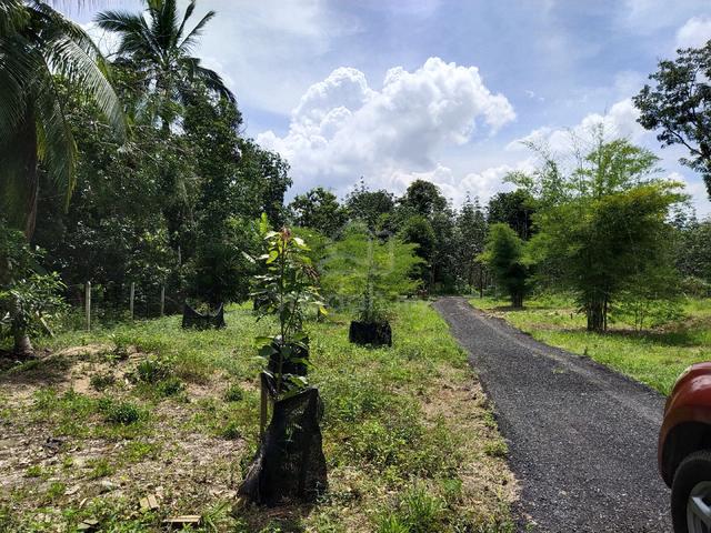 Tanah Kg Asam Pagi, Pdg Durian 1
