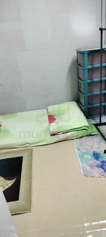 Gugusan Cempaka 1