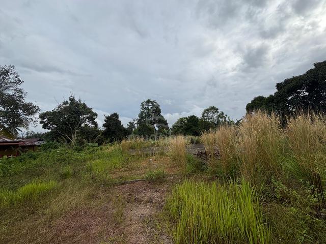 Tanah Tepi Jalan Utama@Kg Terusan untuk dijual! 3