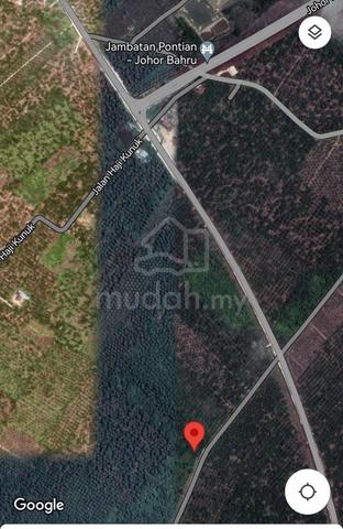 Agriculture Land for SALE @ Mukim Sg Karang, Sg. Boh, Pontian 1
