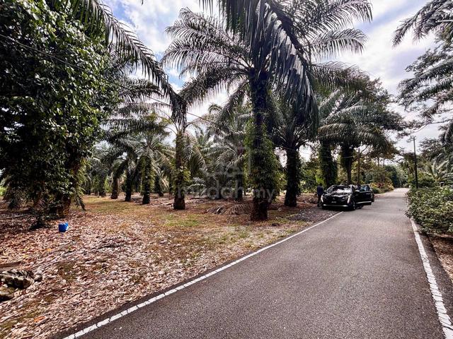 Sungai Durian Serkat Tanah Pertanian [ Tanah Liat / Tiada Sekatan ] 1