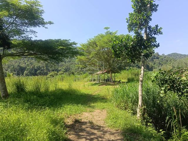 Tanah Dusun 3 Ekar di Sungai Petai, Mantin Negeri Sembilan For Sale 1