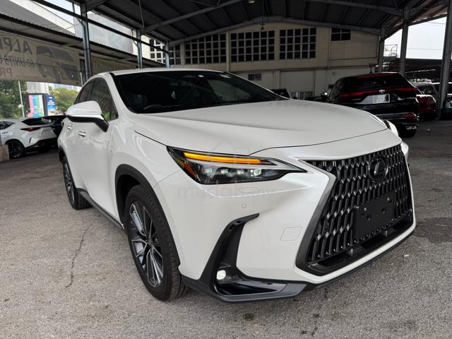 Lexus NX250 2.5 VL 5A 8k KM ROSEBLACK 23 UNREG JPN - 4