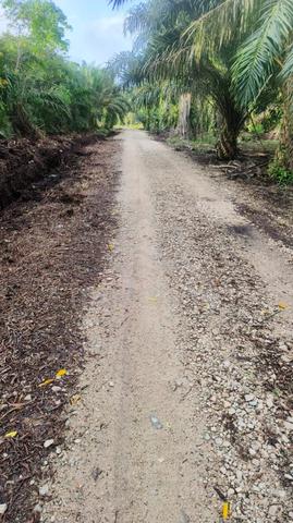 Pontian land 3.5 acres 1