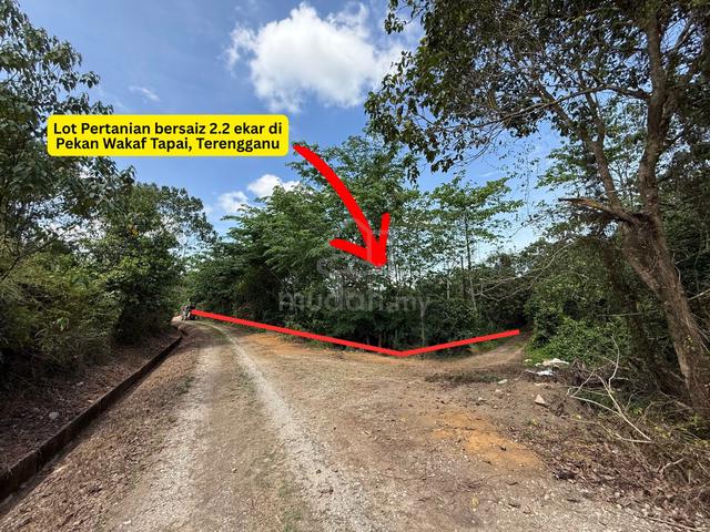 Tanah Pertanian bersaiz 2.2 ekar di Pekan Wakaf Tapai, Terengganu 1