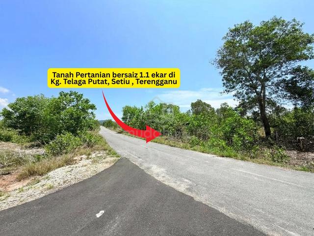 Tanah Pertanian bersaiz 1.1 ekar di Kg. Telaga Putat, Setiu,TRG 1