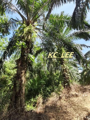 Main Road 6.85 Acres Agricultural Land For Sale @ Lenggong Perak 1