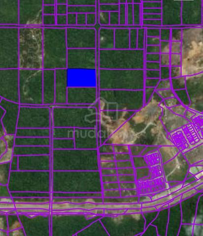 Vacant Land at Sungai Moyan, Jalan Batu Kawa- Bau, Kuching 1