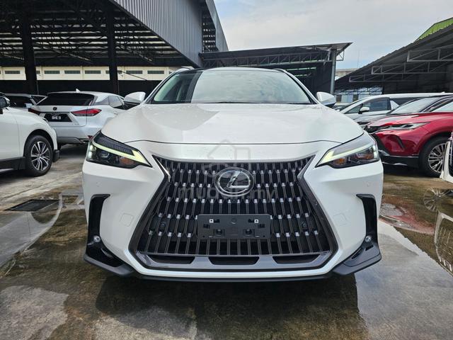 2023 Lexus NX250 2.5 P/Roof 4Cam BSM HUD Unreg - 3
