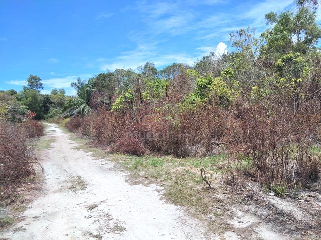 Tanah Kosong Kg Alor Mak Bah Dungun 1