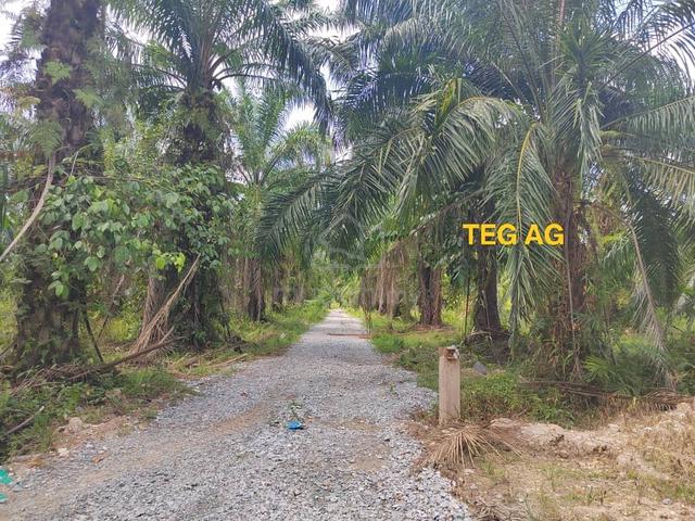 3 Acres Agricultural land at Telok Bunut Kuala Langat for sale 🌱🌱 1
