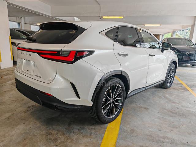 2023 Lexus NX 250 2.5 Version L, Brown Interior - 5