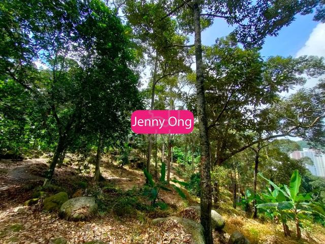 Durian Farm At Balik Pulau,Penang For Sale 1