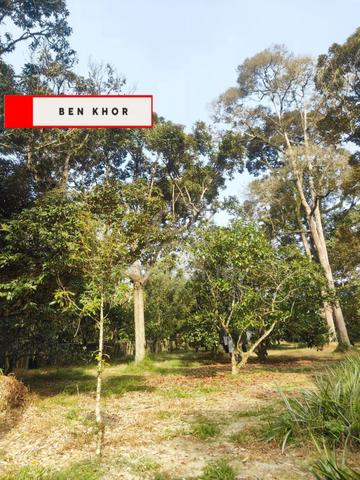 1.48 acres| Agricultural Land | Orchard | Karangan | KEDAH 1