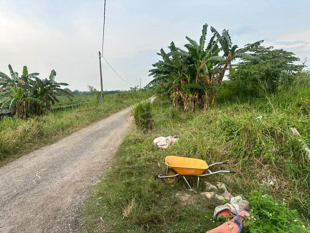 Agriculture Land for Sale – Johan Setia, Klang 1