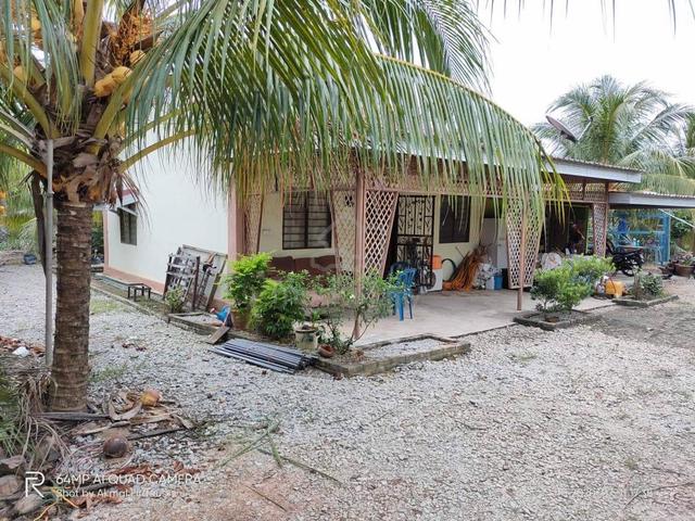 Tanah Pertanian Sg Balang Muar Johor W House Below Mv Good Investment 1