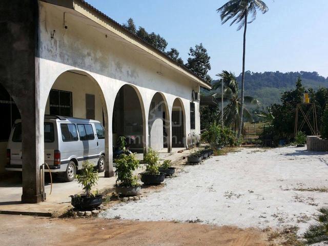 Rumah Bungalow Langkawi Tepi Sawah (Tanah seluas 1 ekar) + kebun buah 1