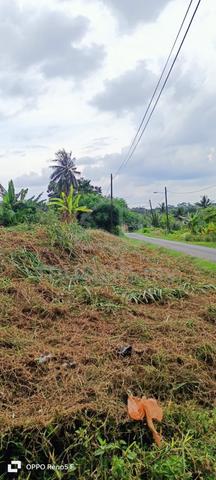 tanah untuk dijual/land for sale 5