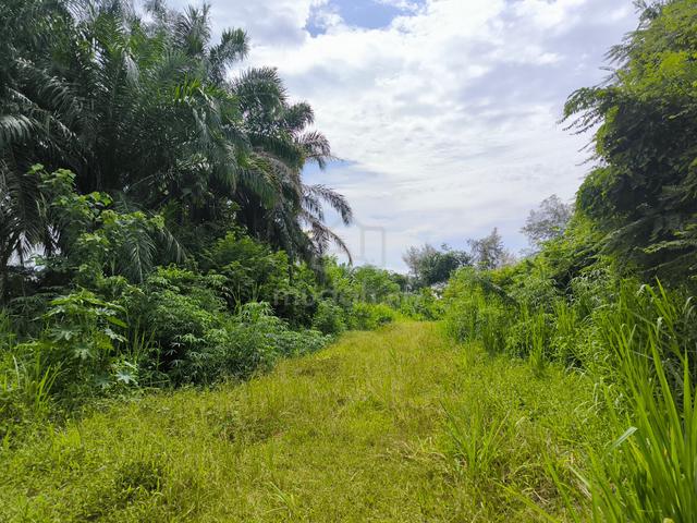 Bungalow Land at Bt.4 Jln Pantai, Si Rusa, P Dickson, N. Sembilan 1