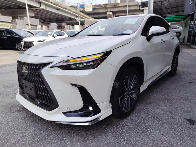 2023 Lexus NX250 2.5 V-L FULL SPEC MARK LEVINSON - 1