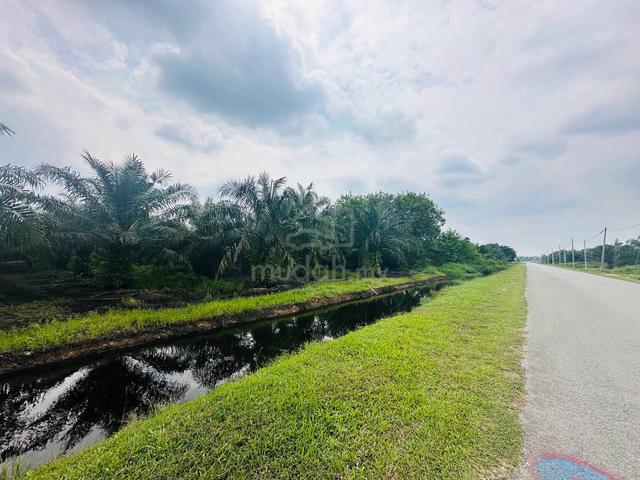 Tanah Kelapa Sawit Exit Higway SKVE, Kuala Langat, Selangor 4