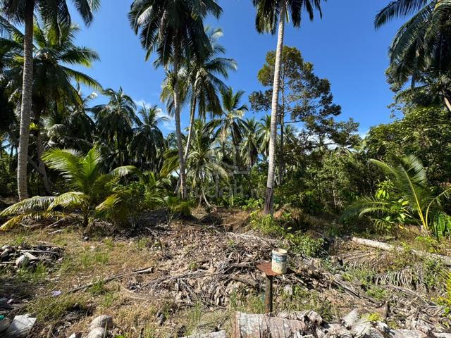 Asajaya agricultural land for sale 3