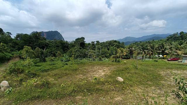 Tanah Kebun di Bukit Berapit, Padang Rengas, Perak 1