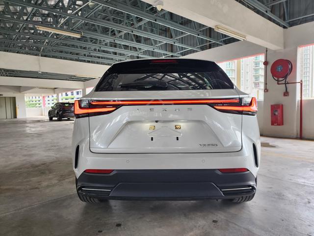 2023 Lexus NX250 2.5 VERSION L (A) GRADE 4.5B - 4