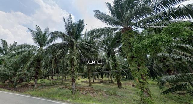 WTS Agriculture Land Kampung Bukit Kapar 2