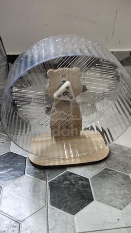 Carousel Image Selected