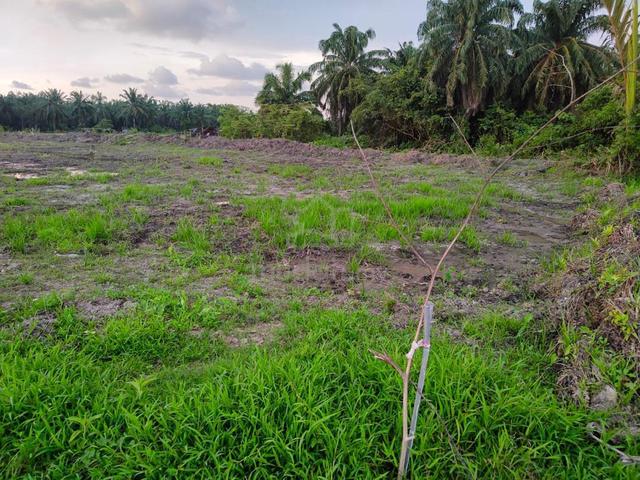 Balik Pulau Agricultural Land For Sale | Balik Pulau 1
