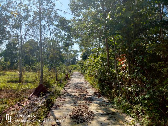 2 Ekar Rata Landai Lenggeng (KERETA+SESUAI KEBUN DUSUN+INFRA SENANG) 5
