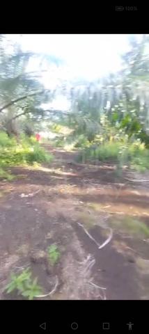 Banting Agriculture Land for Sale, Kampung Sungai Kelambu , 3