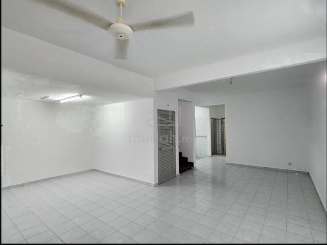 Doritis Kota Kemuning basic house Shah alam,anggerik Doritis worth buy 1
