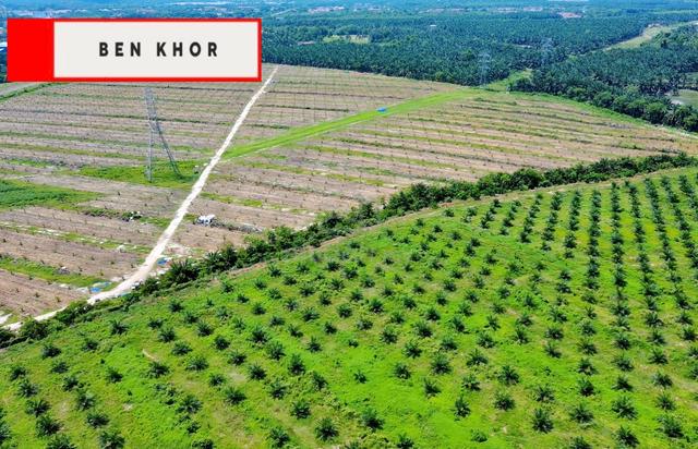 98.95 acres| Agricultural + Residential Land | Bedong | K.Muda | KEDAH 1