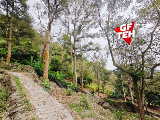 2.34 acre Sea Views Fruit Orchard | Agricultural Land | Balik Pulau 1